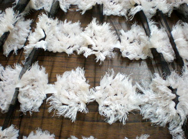 1.White Dancing Rose